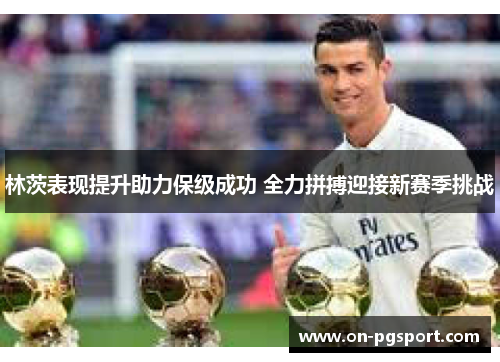 林茨表现提升助力保级成功 全力拼搏迎接新赛季挑战