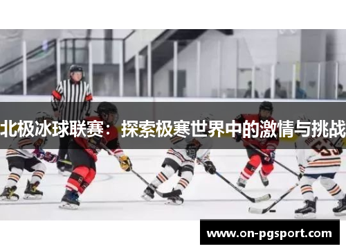 北极冰球联赛：探索极寒世界中的激情与挑战