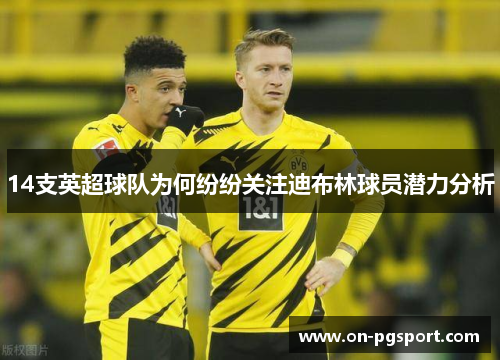 14支英超球队为何纷纷关注迪布林球员潜力分析