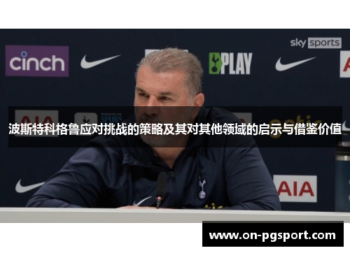 波斯特科格鲁应对挑战的策略及其对其他领域的启示与借鉴价值