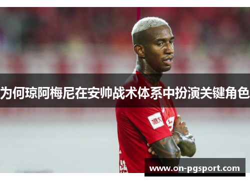 为何琼阿梅尼在安帅战术体系中扮演关键角色