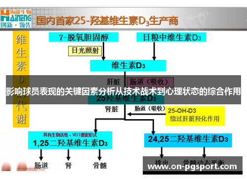 影响球员表现的关键因素分析从技术战术到心理状态的综合作用