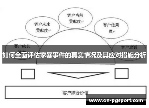 如何全面评估家暴事件的真实情况及其应对措施分析