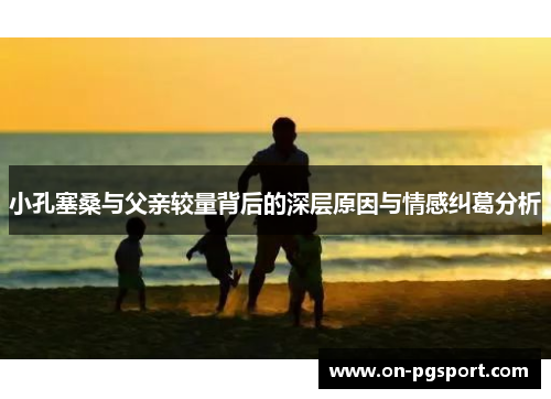 小孔塞桑与父亲较量背后的深层原因与情感纠葛分析