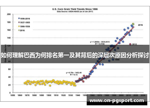 如何理解巴西为何排名第一及其背后的深层次原因分析探讨