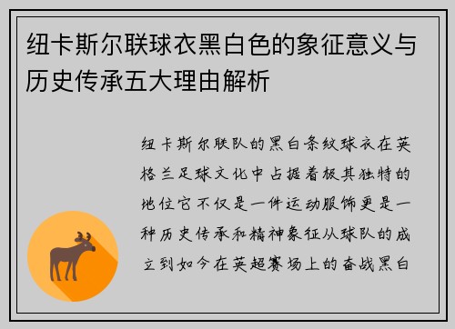 纽卡斯尔联球衣黑白色的象征意义与历史传承五大理由解析