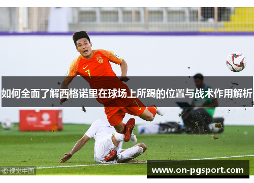 如何全面了解西格诺里在球场上所踢的位置与战术作用解析