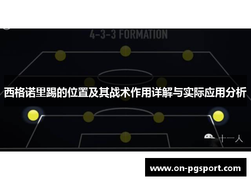 西格诺里踢的位置及其战术作用详解与实际应用分析