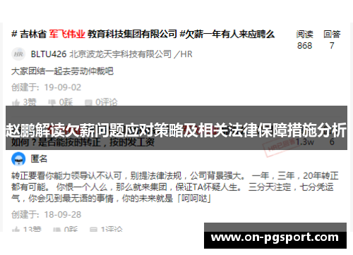 赵鹏解读欠薪问题应对策略及相关法律保障措施分析